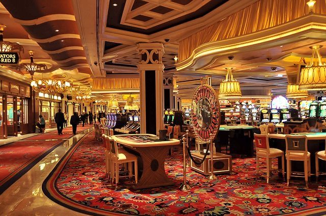 Greyhound Bot Live Casino
